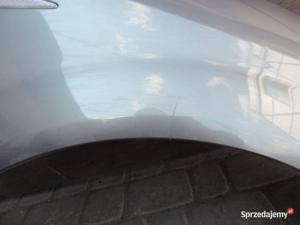 BŁOTNIK PRZEDNI PRAWY PRZEDNI RENAULT SCENIC 2 Karoseria sprzedam