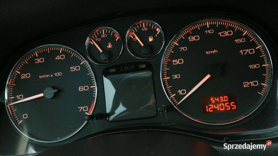 Peugeot 307 14 16VKlimatyzacjaElektrykaNiski VAT marża Bytom