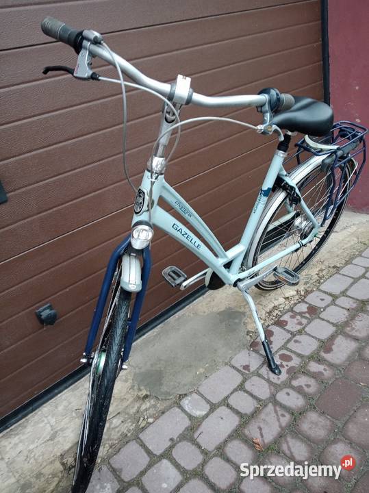 Gazela Sparta Gazela Damka Sakwy Żółkiewka-Osada