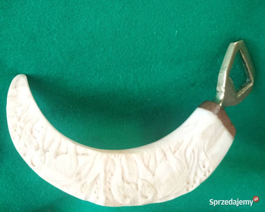 Otwieracz do butelek rzeźbiony kieł guźca Afryka Bronisze sprzedam