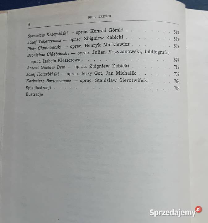 Literatura polska w okresie realizmu i Koźminek sprzedam