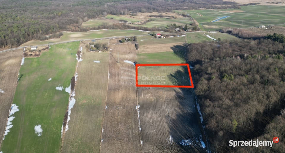 Na sprzedaż działka rolna 7911m2 w Marysinie