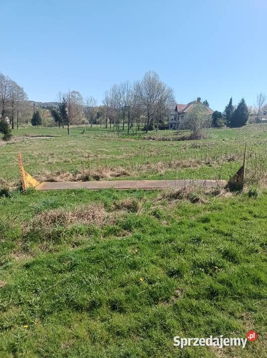 Stół do rzepaku 615 LaverdaMdw 527 dolnośląskie Bystrzyca Kłodzka