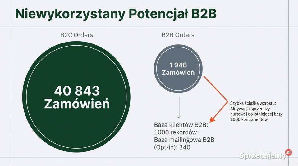 Dojrzały Ecommerce z branży LifestyleHobby Warszawa sprzedam