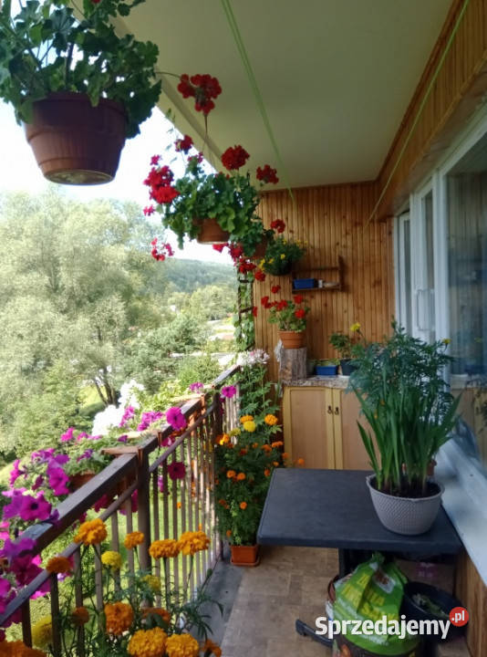 Sprzedam mieszkanie w Bieszczadach 63m2 podkarpackie