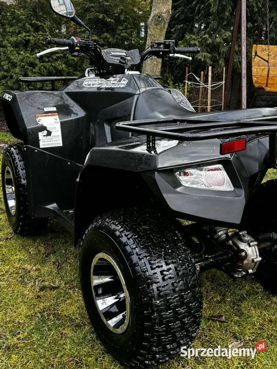Quad Kymco 300 r
