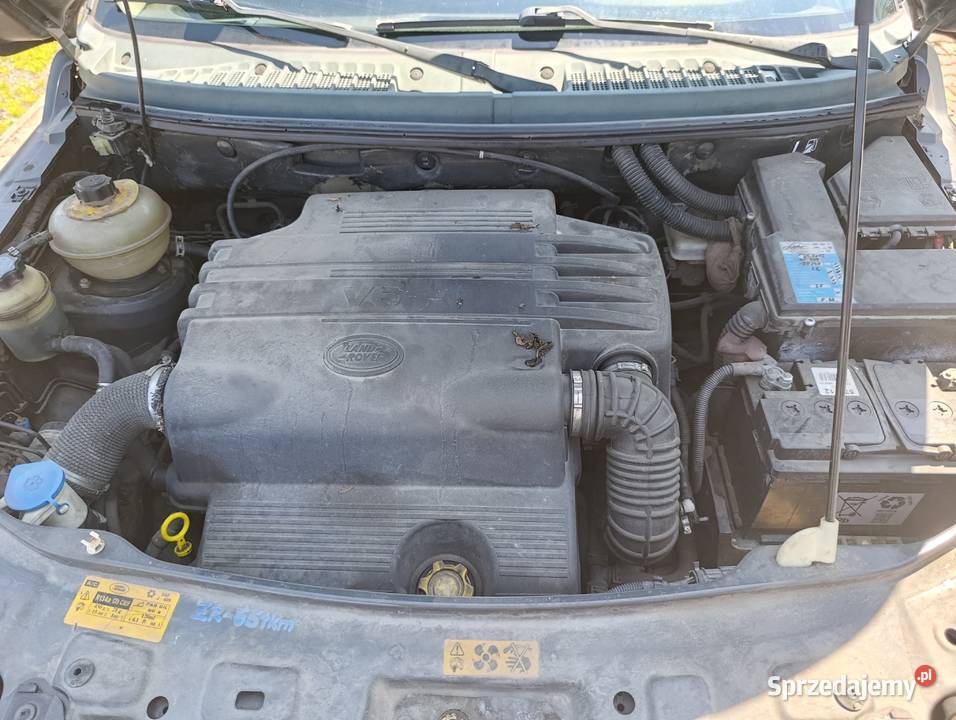 Auto świeżo sprowadzone w stanie na zdjęciach Bujaków