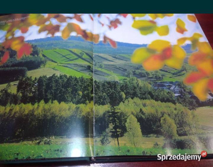 Książka Lubelskie Regiony Książki i Podręczniki Koszalin