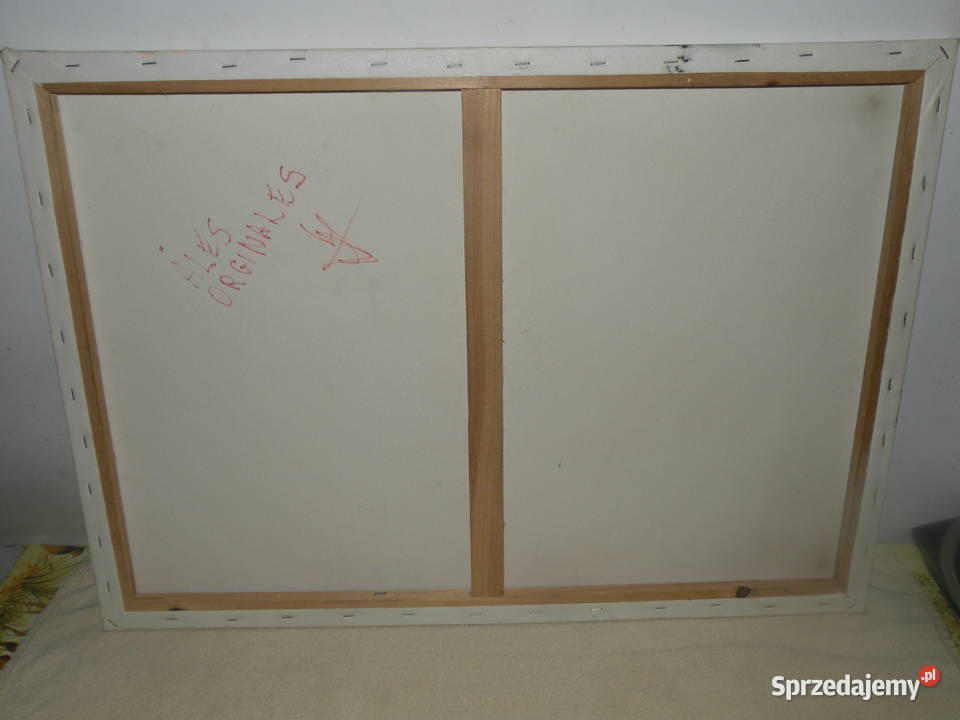 Obraz 70x50 Sygnowany Bibi Strawberry Abstrakcja Andrychów