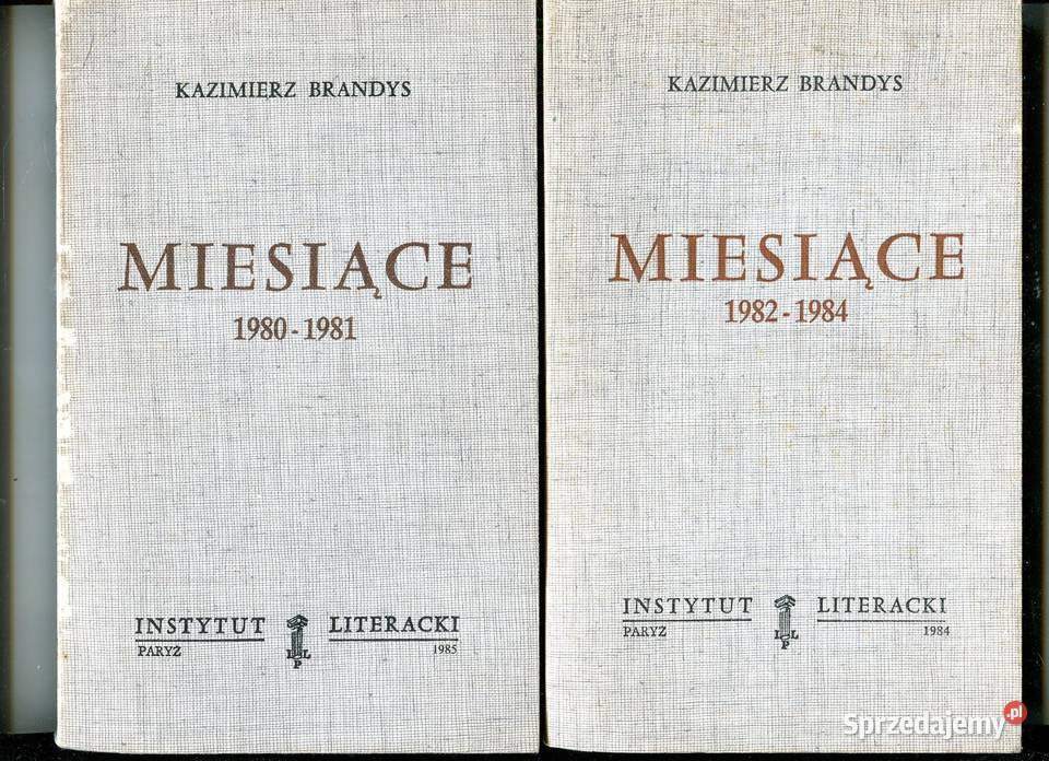 Miesiące 19801984 T12 Kazimierz Brandys Rok wydania 1984 Pozostałe Książki i Podręczniki zachodniopomorskie