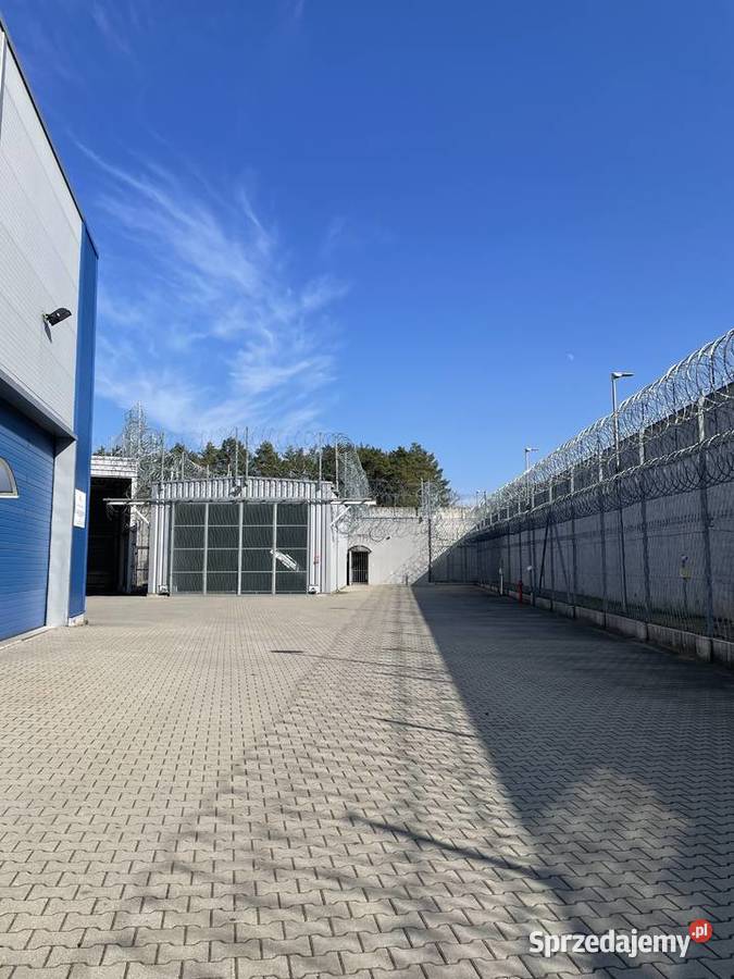 Syndyk sprzeda zorg część przedsiębiorstwa lubuskie Krzywaniec