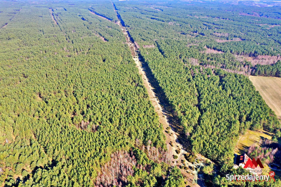 sprzedaży działki 12600m2 Bobrownickie Pole