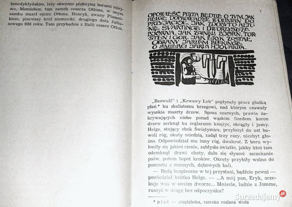 Wikingowie Jerzy Cepik Pozostałe Chełm