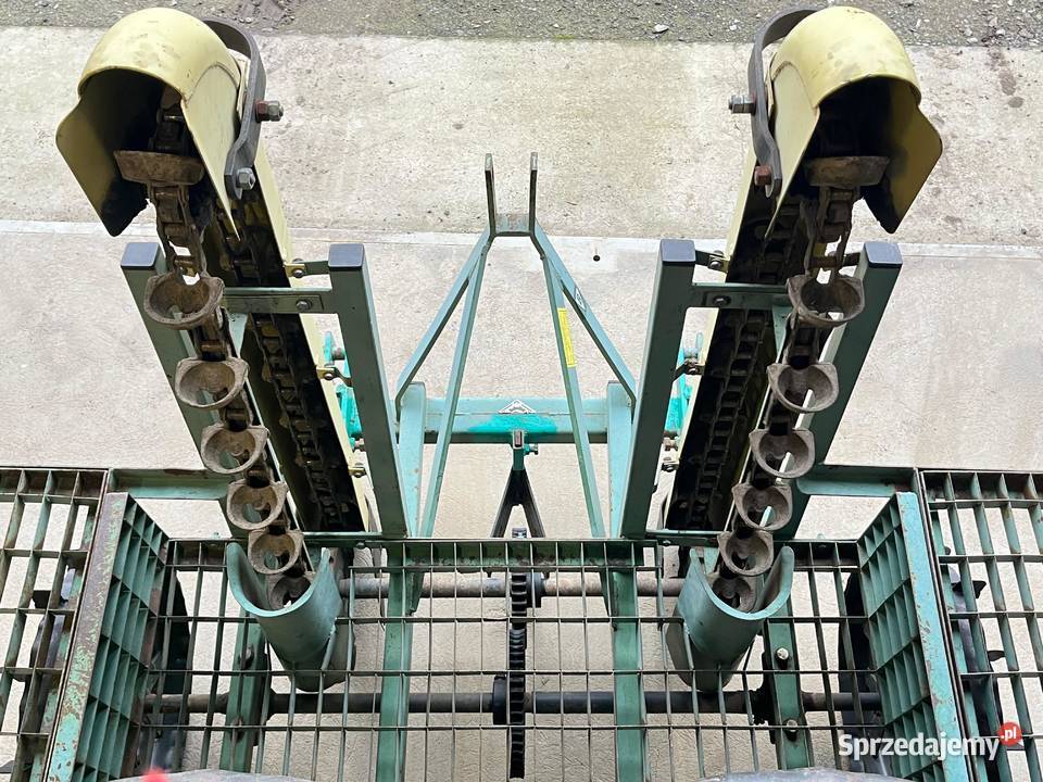 Sadzarka do ziemniaków podkiełkowanych wczesnych