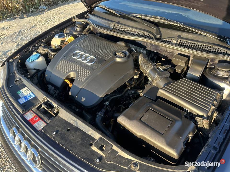 Audi A3 8L Lift 16 MPi 102 2002 z Niemiec lakier metallic Przeworsk sprzedam