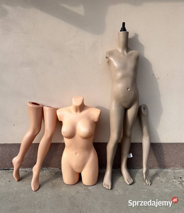 Wyposarzenie sklepu małopolskie Tarnów