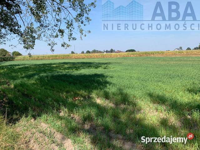 Złotkowy gm Rychwał 3 działki budowlane na woda