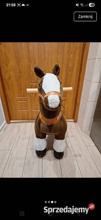 Konik na kółkach Połajewo sprzedam