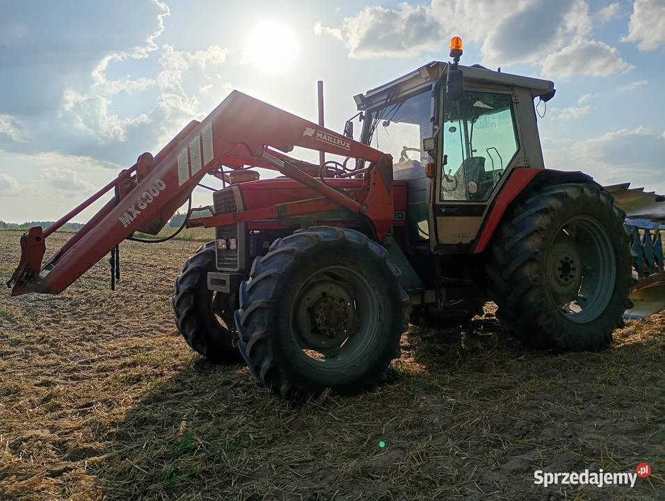Massey Ferguson 3120 Hajnówka