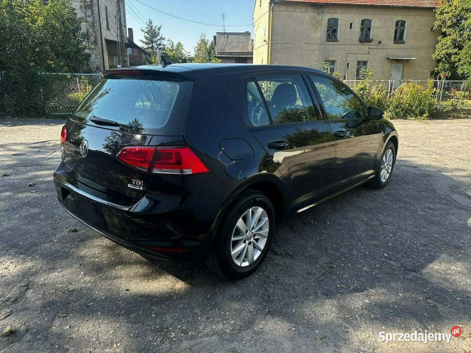 Volkswagen Golf VII 16 TDI 110 153TKM serwisowany w ASO Golf Syców