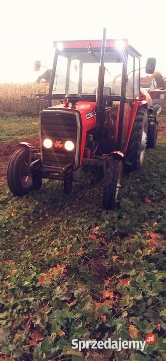 MF 255 W ŁADNYM STANIE Massey Ferguson Gończyce sprzedam