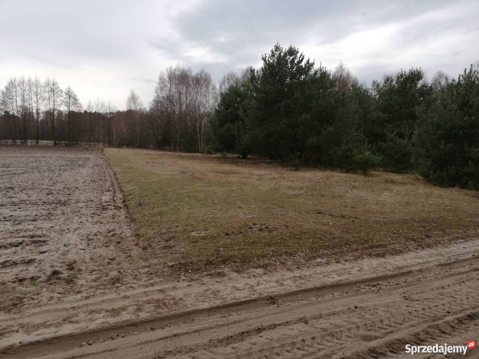 Działka 6600 m2 Józefów Widawski 32zł/m2
