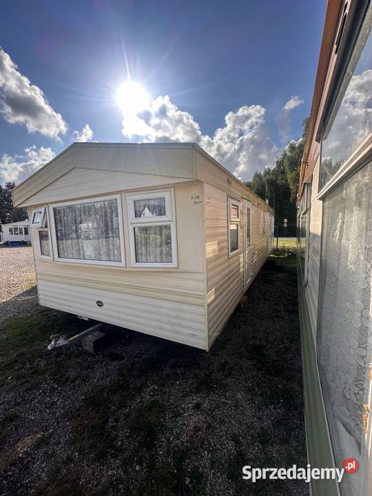 Domek Holenderski CAŁOROCZNY Abi darmowy Pozostałe Ogród zachodniopomorskie Szczecin