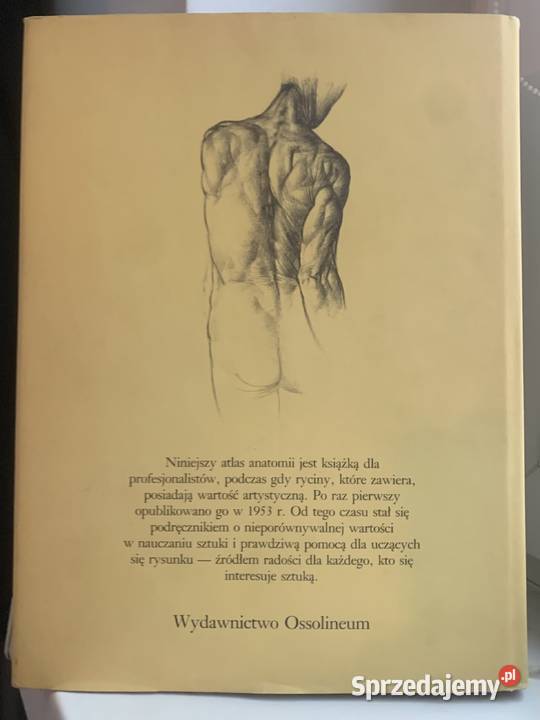 Anatomia artysty Jeno Barcsay łódzkie Łowicz sprzedam