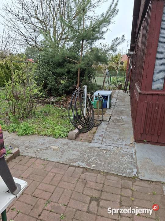 Działka ROD Skowronek Kajetany koło Nadarzyna sprzedam