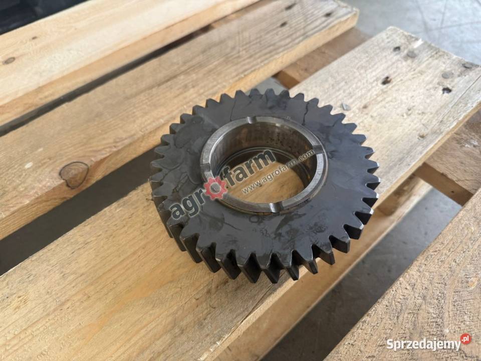 Koło zębate Z37 Holland Byków