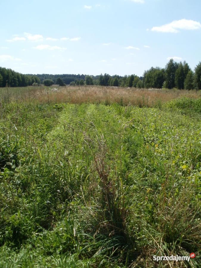 Działka Pilna Skierniewice