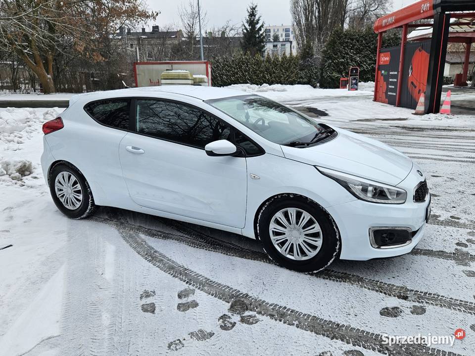 Piękna i wygodna Kia ProCeed Turbo podgrzewana