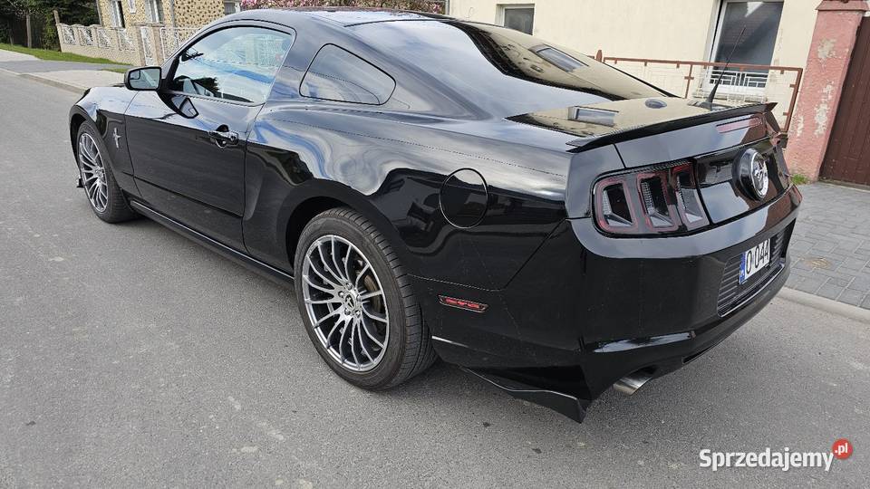 Mustang Premium 37 305 81000TKM ROUSH Głogówek