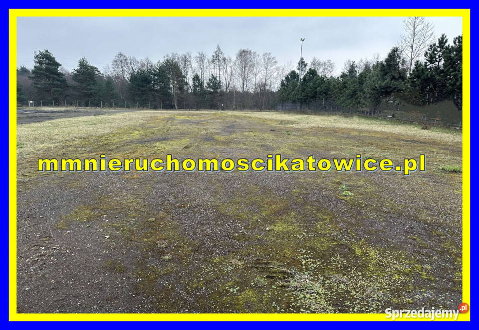 Działki utwardzone z mediami do 6000 m2 do Jaworzno sprzedam