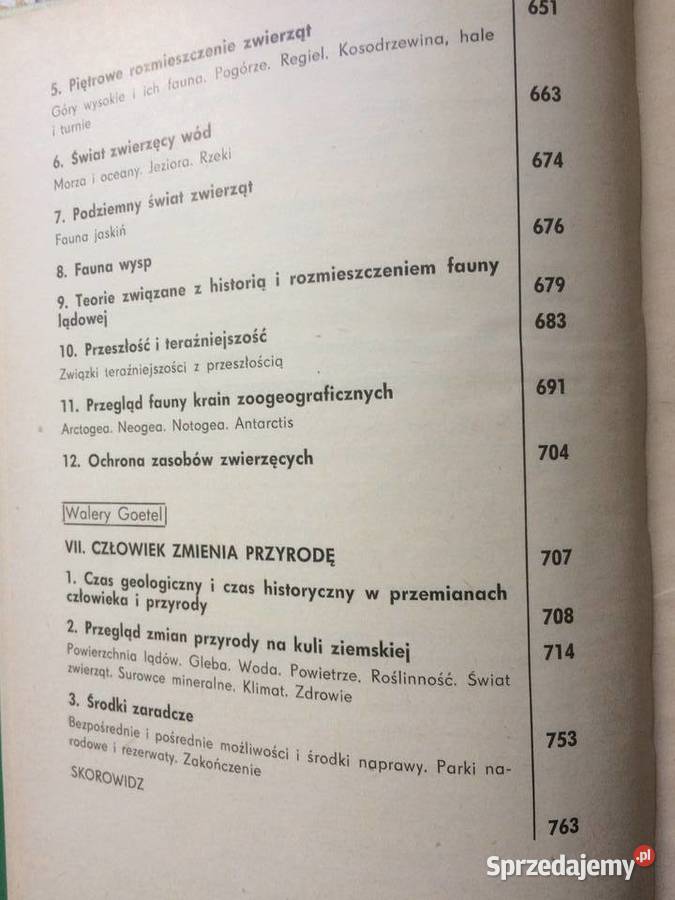 3762 Ziemia Szczecin