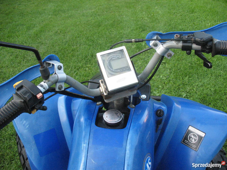 Bashan 150 czterosuwowy małopolskie Kozłów