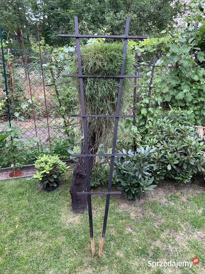 Drabinka drewniana na winorośl 180 40 sprzedam