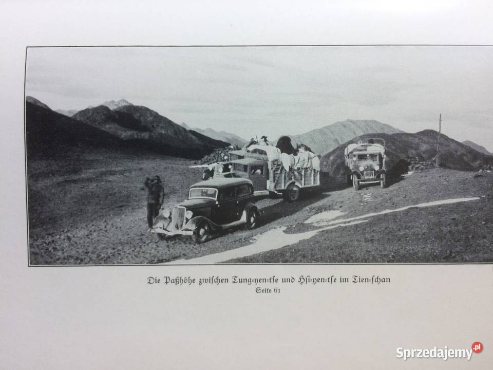 3604 Die Flucht Des Grossen Pferdes zachodniopomorskie