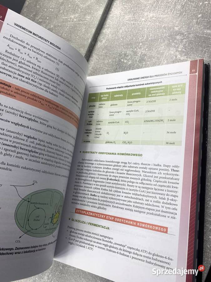 Matura biologia Vademecum repetytorium Greg HIT Jasło