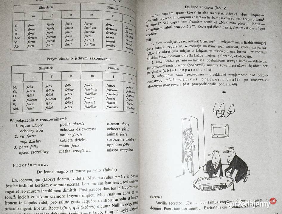 Lingua Latina Łacina bez pomocy Orbiliusza Lidia Chełm