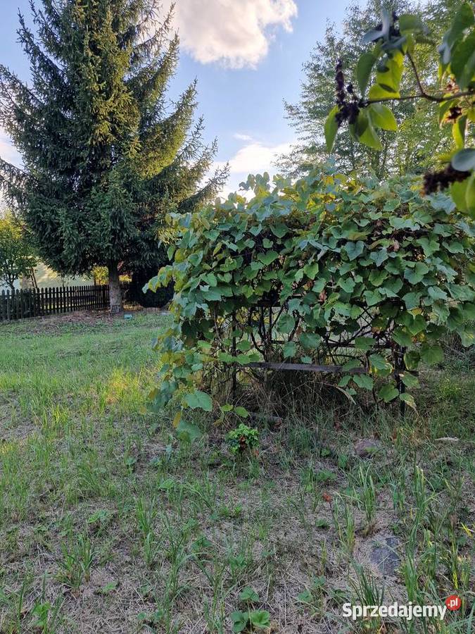 Działka Rod Lublin sprzedam