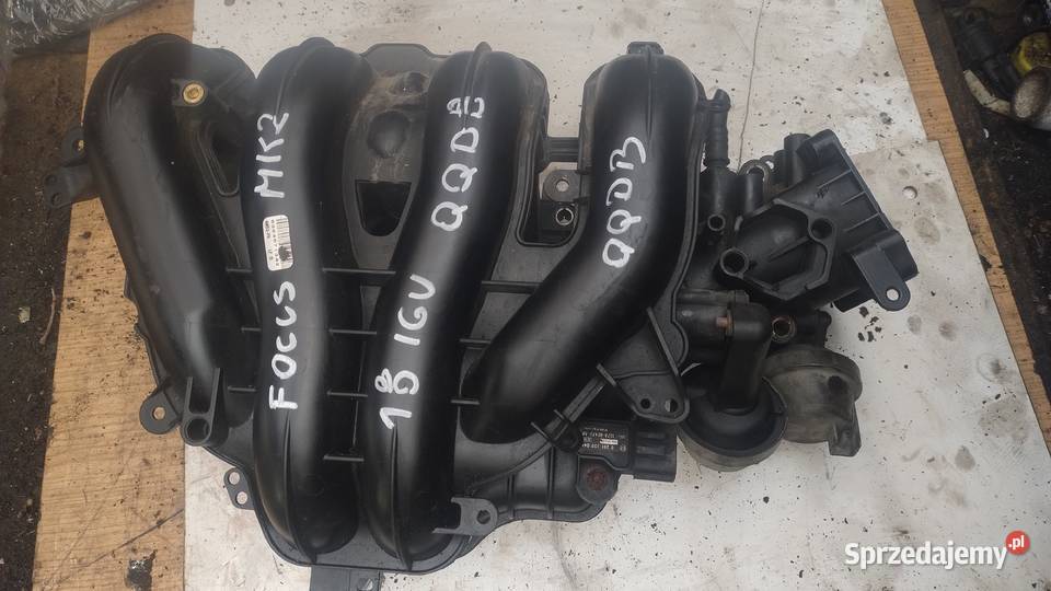 FORD FOCUS MK2 18 16V kolektor ssący QQDB Kolektory ssące świętokrzyskie