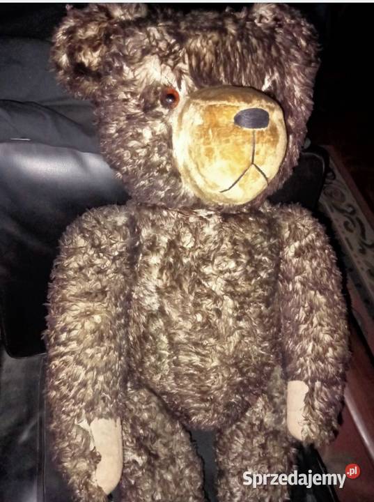 Stary Miś trociniak Teddy Bear Trawa morska Grójec
