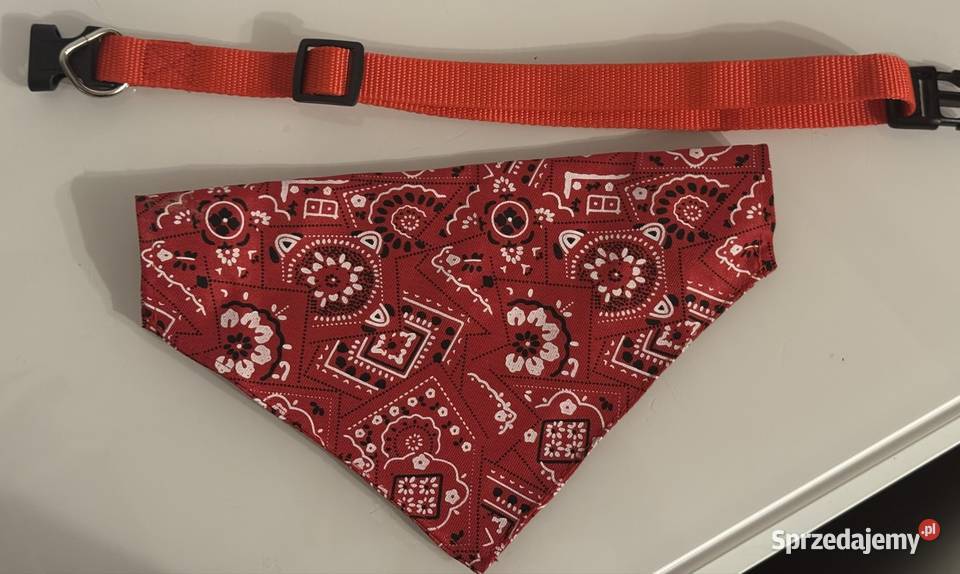 Czerwona bandamka psa z regulowanym zapięciem Pruszków sprzedam