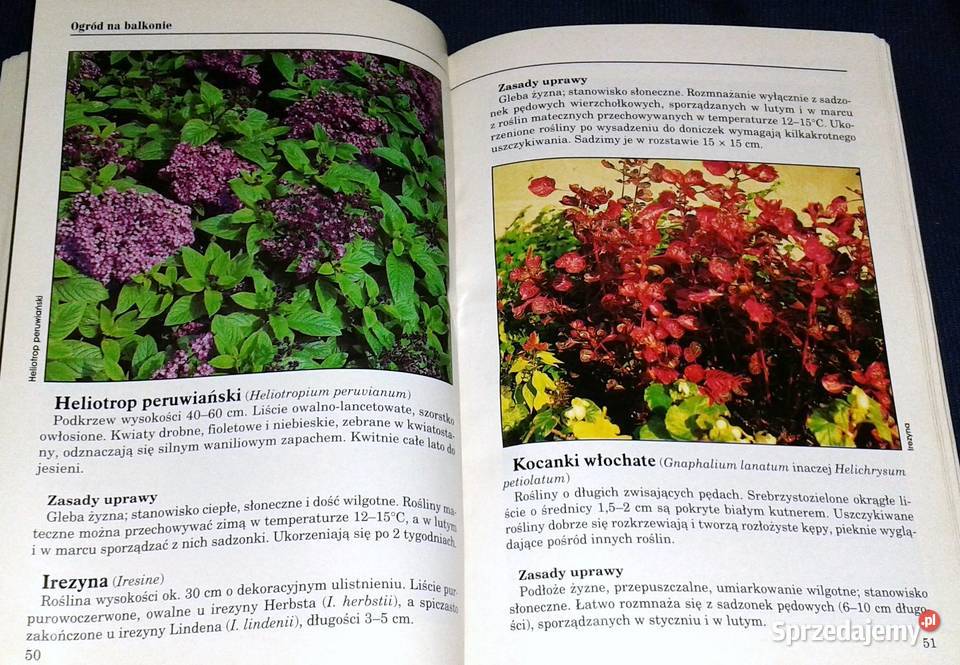 Ogród na balkonie Agnieszka Sokołowska