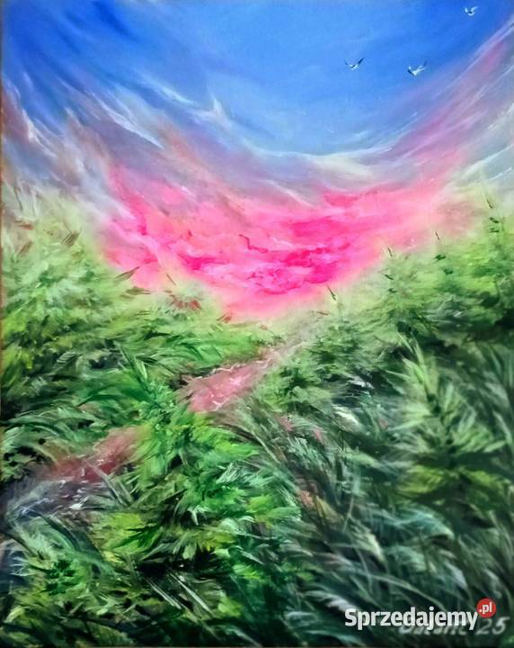 Obraz ręcznie malowany 4030 w ramie z Łódź sprzedam