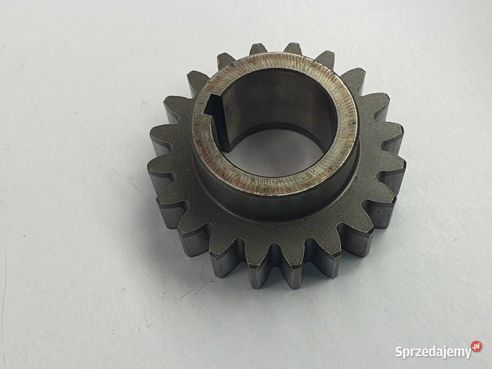 Tryb Walu Zebatka Tm Mx 250 łódzkie Łódź