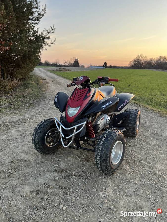 Sprzedam quada Dinli 300cc automat Dinli lubelskie Lendo Ruskie