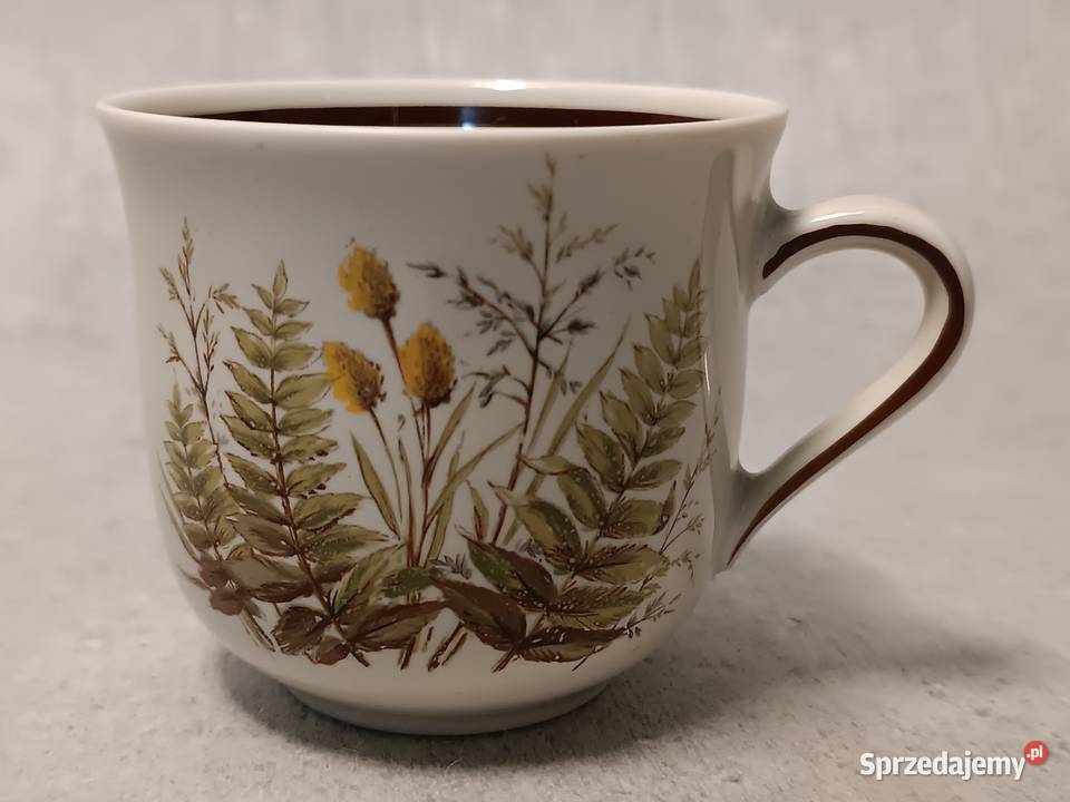 WINTERLING Filiżanka Rslau Paproć Bavaria Trio Dobrzany sprzedam