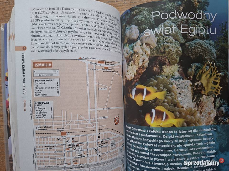 Egipt podróże z pasją RoughGuides miękka Mapy i przewodniki